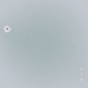 눈의 꽃 (雪の華)