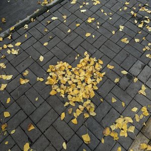 默契偏爱