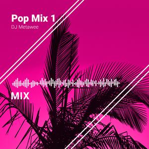 Crying In The Club (DJ Metawee Unofficial Remix)