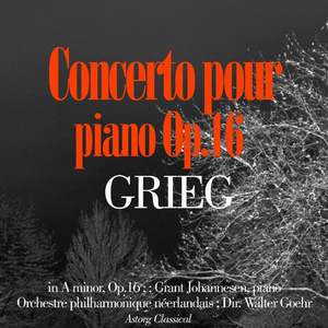 Piano Concerto In a Minor, Op.16 : I. Allegro Molto Moderato