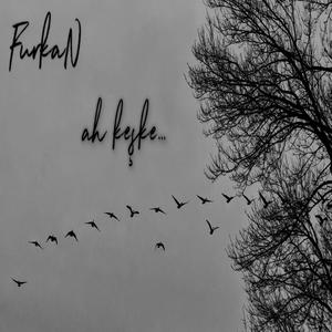 ah keşke demeseydim