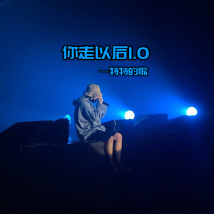你走以后1.0