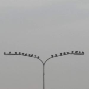 Toglietemi Il Demonio