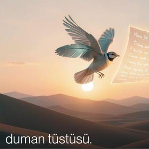 "DUMAN TÜSTÜSÜ" Azerbaijani Song