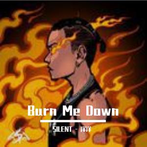 Burn Me Down （SILENT - 洋洋 Remix）