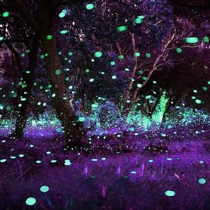 in my glo (feat. Z1M & sacreds)