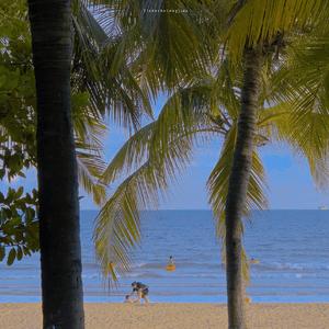 雨（电视剧《以家人之名》插曲）