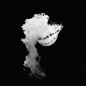 过了多久（Prod By Lil Siren&Wolf Pack Beats）