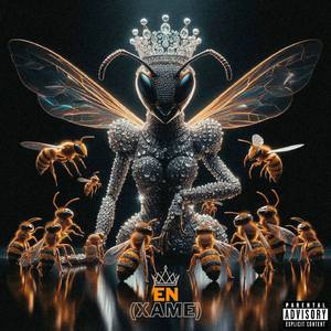 ENXAME (enjambre)