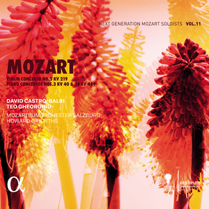 Piano Concerto No. 14 in E-Flat Major, KV 449: II. Andantino (Cadenzas by W. A. Mozart)