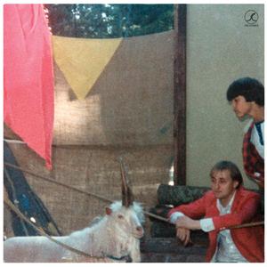 Armour of the Shroud