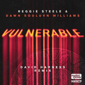 Vulnerable (David Harness Remix)