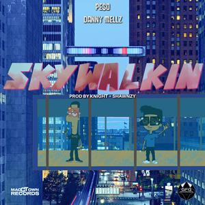 Skywalkin (feat. Danny Mellz)