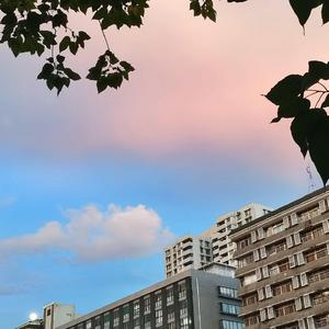 遇见你的时候所有星星都落到我头上