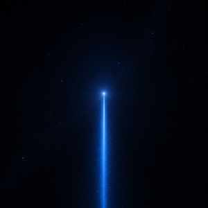 Signal