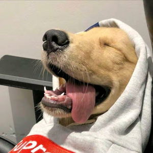 心中有苦不声张