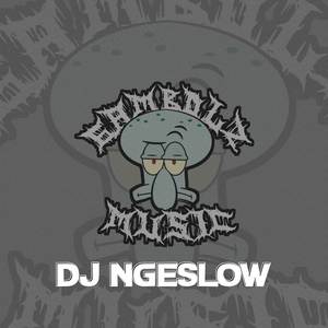 DJ NGESLOW