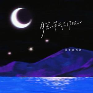 月亮等不到阳光 (DJ李雪饼版)降调版