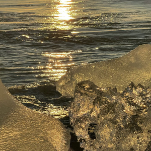 想要成为的大人