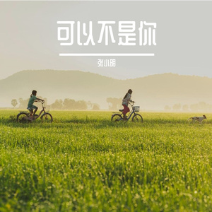 可以不是你