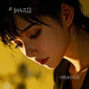 你的泪会说谎 (Cover 田一龙)