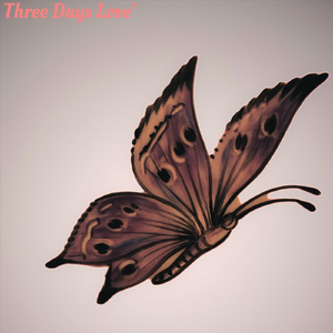 Three Days Love