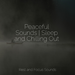 Walking the Quiet Path