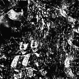 SKRZYDŁA (feat. wjk)