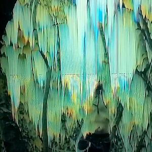 Nightcrawler/Somnanbule