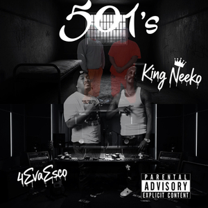 501s