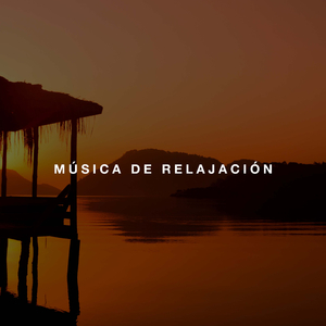Motivaciones