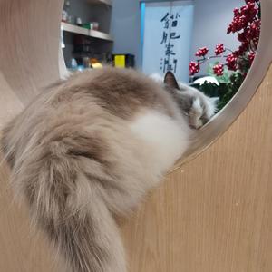 捏造的真实_Full Mix