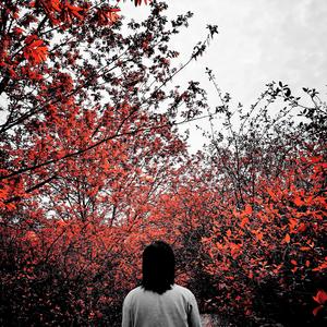 二十岁出头的我