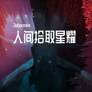 苏星婕-风吹过八千里（Johannes remix）