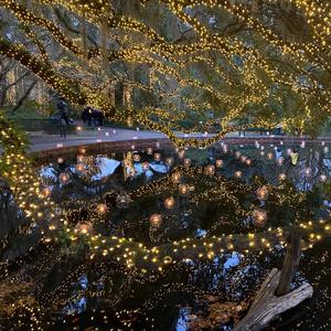 Blighted Drifter (feat. Chris Peterson)