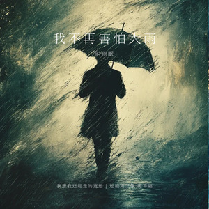 于是我不再害怕大雨