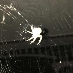 If You Knew (feat. James Colt)