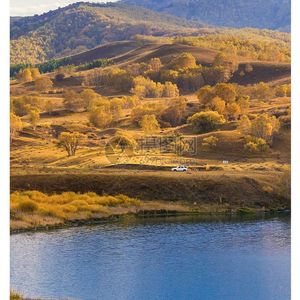 在晨曦中轻轻醒来清