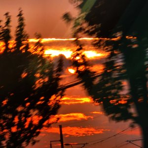 寻找花.wav
