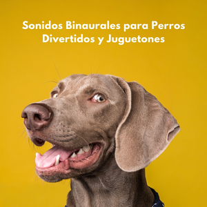 Ritmos Saltarines