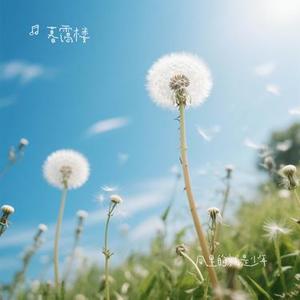 风里的就是少年