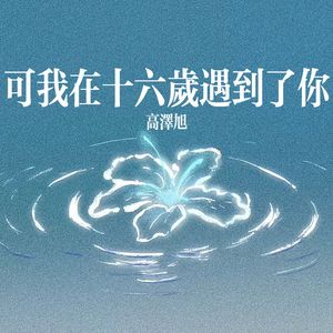 可我在十六岁遇到了你