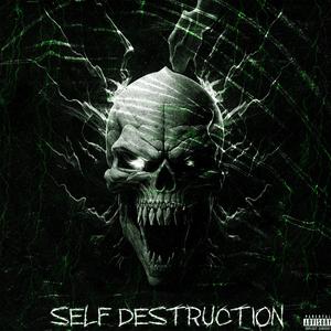 SELF DESTRUCTION