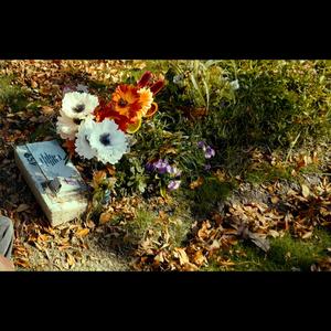 EN HONOR A NG (feat. ayyyraul!)