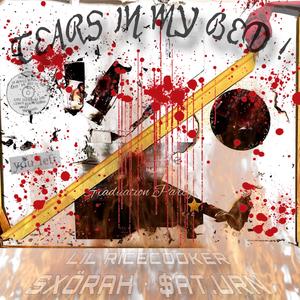 tears in my bed ! (feat. Lil RiceCooker & $at.urn) (remix)