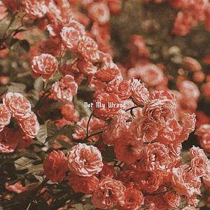 Not my wrong（翻自 万赛文OneBoi）