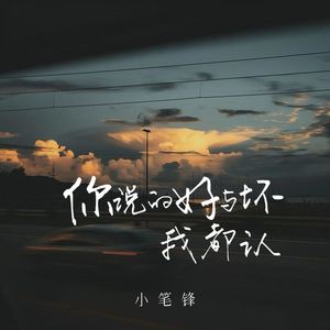 你说的好与坏我都认