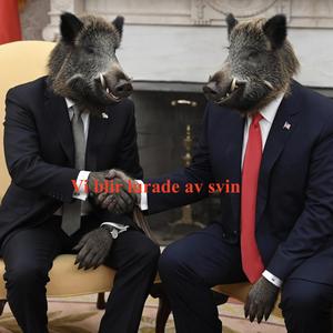 Vi blir lurade av svin