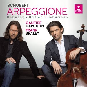Arpeggione Sonata in A Minor, D. 821:I. Allegro moderato