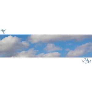 Euphoria (feat. Alex Turek)